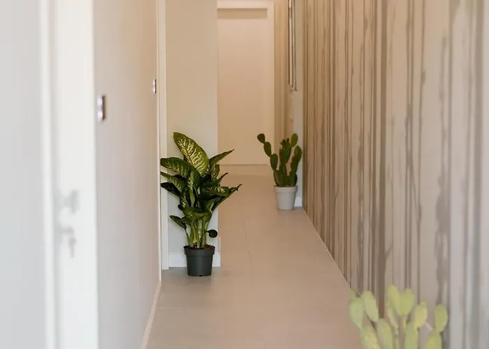 Stella D'oro ゲストハウス ペスカーラ